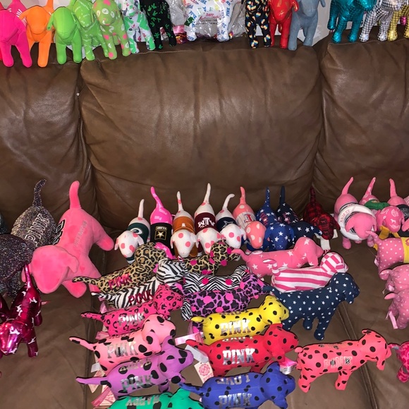 Meet your Posher, Savannah - Picture 5 of 8